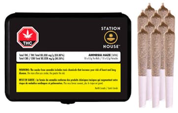 Station House Amnesia Haze Pre-Roll 10x0.5g
