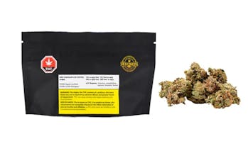 Organic Mint Chocolate Chip - Organic Mint Chocolate Chip Petites 14G