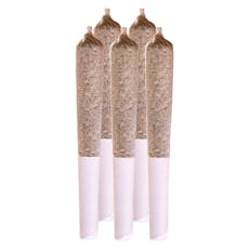 Station House - Amnesia Haze Pre-Roll - Amnesia Haze Pre-Roll 5x0.5g Pre-Rolls