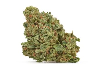 Pumpkin Spice (28g) - Good Supply