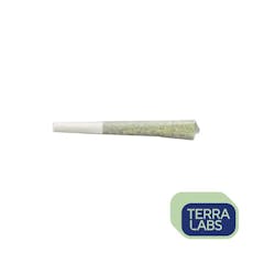 Grape Burst Diamond Infused Pre-Roll by Terra Labs - Grape Burst Infused Pre-Roll - 1x1g