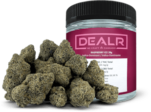 DEALR - Raspberry Ice - RASPBERRY ICE - 28g