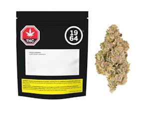 Apples & Bananas - Apples & Bananas 7G