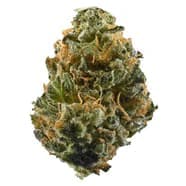 RIPPED SATIVA DRIED FLOWER by Ripped- 1g