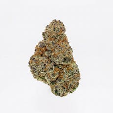 RC Collectives - Royal Cannabis Supply Co. - Swampwater Fumez - RC Collective - 7g