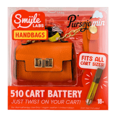 Smyle Labs Penjamin Handbag Birkin