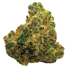 PEPE EVERYDAY Northern Lights 14g