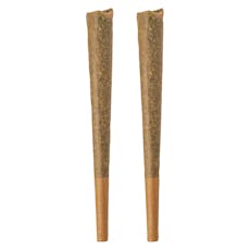 BOLD - GLAZED Indica Pre-Roll 2x1g Pre-Rolls