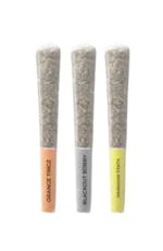Pistol & Paris - Flavours Variety Pack - 3 x 0.5g
