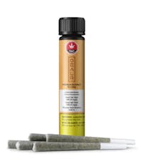 French Beignet Pre-Rolls - French Beignet 5 X 0.5G