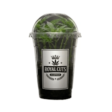 Rocky Mountain Runtz - Royal Cuts - Single Clone