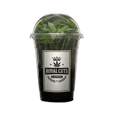 Apple Ztrudel - Royal Cuts Clones - Single