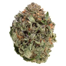 Comatose- 1964 - Comatose 3.5g Dried Flower