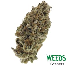 Weeds - G*shers (14g)