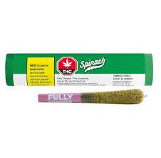 Fully Charged Pink Lemonade (1x0.7g) - Spinach