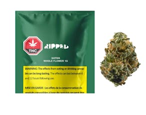 Ripped Sativa Dried Flower - Ripped Sativa Dried Flower 1G