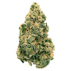 Galactic Jack 28g - Galactic Jack 28g Dried Flower