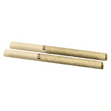 DAYTRIPPERS GALACTIC JACK PRE-ROLLS 2G BY BACK FORTY