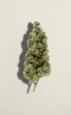 Pure Sunfarms - Cherry Tang (3.5g)