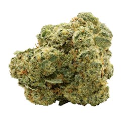 Blue Thai #2 - Spinach - Blue Thai #2 - 28g