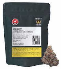 Station House - Canadian Northern Series (Rotating Strain) - 3.5g