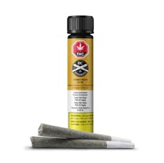 BC Doobies - Honey Bear Pre-Rolls - HONEY BEAR PRE-ROLLS - (2 x 1g)