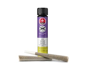 Sherbet Pre-Rolls - Sherbet 2 X 1G