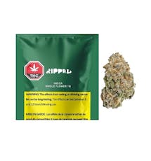 Ripped Indica Dried Flower - Ripped Indica Dried Flower 1G