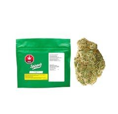 West Coast Cookies GMO #12 X SFV OG - West Coast Cookies 3.5G