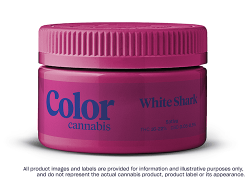 White Shark (Color)