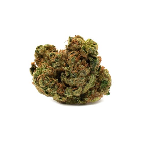 Houseplant - Indica