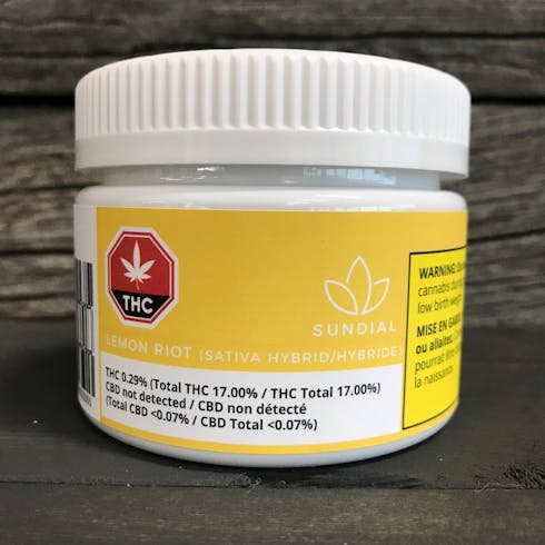 Lemon Riot (Rascal OG)