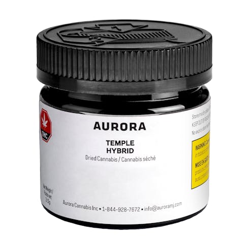Aurora - Temple - DRIED FLOWER