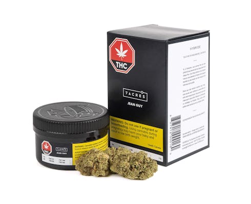 7Acres Jean Guy 3.5 G