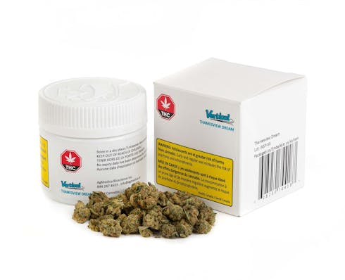 Vertical Cannabis Thamesview Dream- 3.5g dried flower