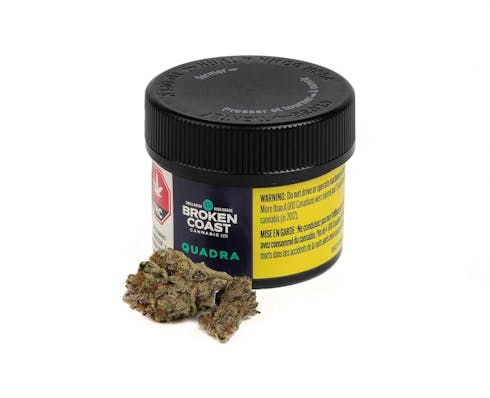 Broken Coast Quadra - Quadra 3.5g Dried Flower