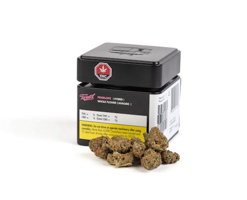 Tweed Penelope - Penelope 3.5g Dried Flower