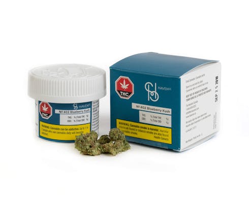 Haven St. 402 Blueberry kush - No. 402: 1g Blueberry Kush