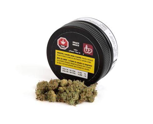UP Grace - Grace 7g Dried Flower