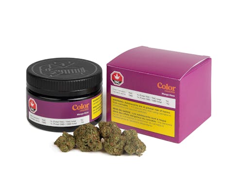 Color Cannabis Mango Haze - Mango Haze 3.5g Dried Flower
