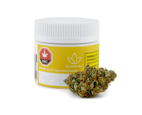 Sundial Lift Lemon Riot - Lemon Riot 3.5g Dried Flower