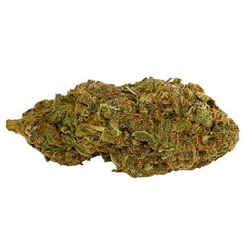 29. MK Ultra