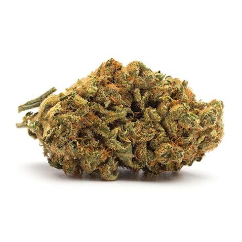14. Indica