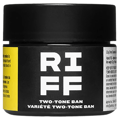 Riff - Two Tone Ban - DRIED FLOWER