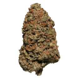 TSUNAMI (Northern Lights)
