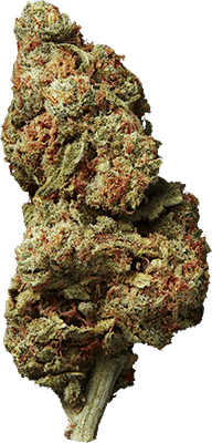 STRAWBERRY CREAM