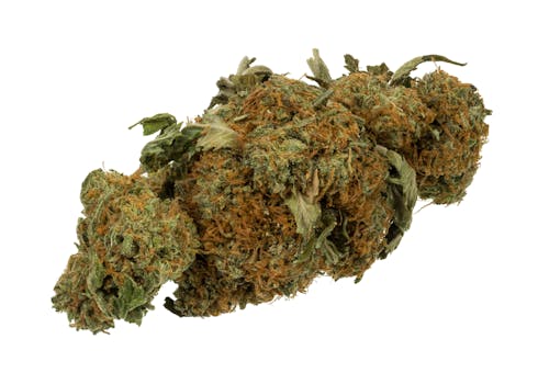 DAGGA