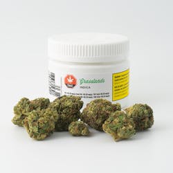 Grasslands Indica