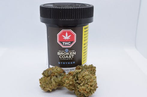 Broken Coast Stryker 3.5g