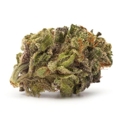 18. Sativa TWD